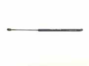 Gasdruckfedern Set Hinten 600442 Citroën C4 Picasso (UD/UE/UF) Großraumlimousine 1.8 16V (EW7A(6FY)) 2007