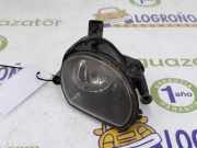 Nebelscheinwerfer Links 8P0941699A Audi Q7 (4LB) SUV 3.0 TDI V6 24V (CASA) 2009