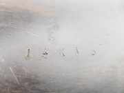 Querlenker Links Vorne Unten 480690K040 Toyota Hilux IV Pick-up 2.5 D4-D 16V 4x4 (2KD-FTV) 2015