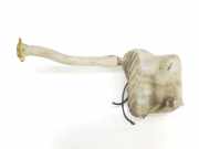 Scheibenwaschbehälter Vorne 289100030R Renault Master III (EV/HV/UV/VA/VB/VD/VF/VG/VJ) Chassis-Cabine 2.3 dCi 125 16V FWD (M9T-676(Euro 4)) 2011