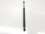 Gasdruckfedern Set Hinten 51247060623 BMW 3 serie (E90) Limousine 320d 16V (N47-D20A) 2008