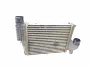Ladeluftkühler 9806562180 Citroën Jumpy Van 1.5 Blue HDi 100 (DV5RUCd(YHR))