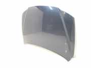 Motorhaube 8643018 Volvo S80 (TR/TS) Limousine 2.5 D (D5252T) 2000