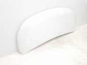 Motorhaube 651224338R Renault L1H1 29t Komfort