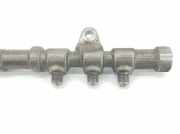 Einspritzdüsen Düsenstock 55272136 Fiat Panda/Pandina (312) Schrägheck 1.3 D 16V Multijet (199.A.9000) 2014