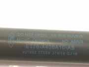 Gasdruckfedern Set Hinten 1847071 Ford COURIER 1.5 TDCi (95 CV) 2014