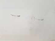 Tür Links Hinten 2172760 Ford Focus 3 Schrägheck 1.0 Ti-VCT EcoBoost 12V 125 (M1DA(Euro 5)) 2015