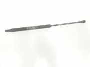Gasdruckfeder Set Vorne 60658924 Alfa Romeo 166 Limousine 2.4 JTD (AR34.202) 1999