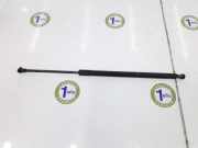 Gasdruckfeder Hinten 51248402405 BMW X5 (E53) SUV 3.0d 24V (M57N-D30(306D2)) 2006