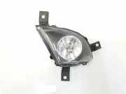 Nebelscheinwerfer Links 63177199893 BMW 3 serie Touring (E91) Kombi 330d 24V (N57-D30A) 2010