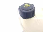 Ausgleichbehälter 217102572R Renault Clio V (RJAB) Schrägheck 5-drs 1.5 Blue dCi 85 (K9K-872) 2019