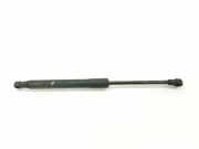 Gasdruckfeder Set Vorne 51237008745 BMW 5 serie (E60) Limousine 525d 24V (256D2) 2005