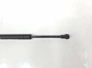 Gasdruckfeder Vorne BKK760010 Land + Range Rover Range Rover III (LM) Geländewagen 3.6 TDV8 32V (368DT) 2007