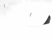 Heckspoiler 9801170977 Citroën CITROEN CACTUS Shine