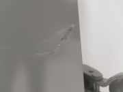 Tür Rechts Vorne 801005445R Renault Trafic Passenger (1JL/2JL/3JL/4JL) Bus 1.6 dCi 125 Twin Turbo (R9M-452) 2018