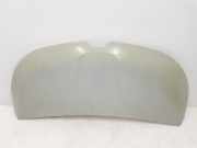 Motorhaube 651224338R Renault L1H1 29t Komfort