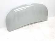 Motorhaube 651224338R Renault L1H1 29t Komfort