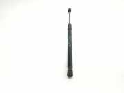 Gasdruckfeder Set Vorne 6700335130 Maserati Levante SUV SUV 3.0 Diesel (M16164D) 2018