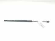 Gasdruckfedern Set Hinten 51883050 Fiat 500L (199) Großraumlimousine 1.4 16V (843.A.1000(Euro 4; Euro 5; Euro 6)) 2016