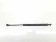 Gasdruckfedern Set Hinten 51248254281 BMW 3 serie (E46/4) Limousine 320d 16_V (M47N(204D4)) 2004