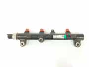 Einspritzdüsen Düsenstock A6640700295 SsangYong Kyron SUV 2.7 270 Xdi 20V 4x4 (M665.925(Euro 4)) 2010