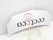 Motorhaube 651003220R Renault Kangoo Express (FW) Van 1.5 dCi 70 (K9K-840) 2011