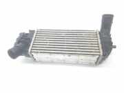 Ladeluftkühler L1BG6D624AB Ford Tourneo Großraumlimousine 1.0 12V Ecoboost (B7JB)