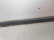 Tür Links Hinten 8256827 BMW SERIE E53 3.0d
