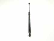 Gasdruckfedern Set Hinten 81780G4000 Hyundai i30 (PDEB5/PDEBB/PDEBD/PDEBE) Schrägheck 1.5 DPi 16V (G4LG) 2022