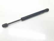 Gasdruckfedern Set Hinten 51241960862 BMW 3 serie (E36/4) Limousine 318 tds (M41-D17(174T1)) 1997