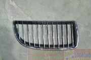 Grill Gitter Rechts 51137120010 BMW 3 serie (E90) Limousine 330Xd 24V (M57N2-D30(306D3)) 2005