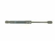 Gasdruckfeder Vorne 51237255812 BMW 3 serie Touring (F31) Kombi 320d 2.0 16V (N47-D20C) 2012