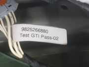 Tür Links Vorne 9812674380 Citroën C3 (SX/SW) Schrägheck 1.2 Vti 12V PureTech (EB2FA(HMR))