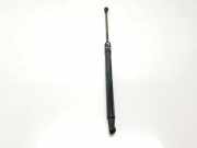 Gasdruckfedern Set Hinten 51247239871 BMW 1 serie (F20) Schrägheck 5-drs 116d 2.0 16V (N47-D20C) 2014