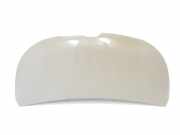 Motorhaube 651224338R Renault L1H1 29t Komfort 2020