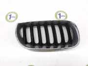 Grill Gitter Rechts 51133402910 BMW 2.0 16V D (150 CV) 2005