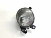 Nebelscheinwerfer Links A2518200756 Mercedes-Benz ML II (164/4JG) SUV 3.0 ML-320 CDI 4-Matic V6 24V (OM642.940)