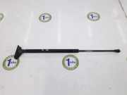 Gasdruckfeder Hinten 6895002041 Toyota Corolla (E12) Schrägheck 2.0 D-4D 16V 116 (1CD-FTV) 2006