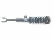 Stoßdämpfer Rechts Vorne 31316797766 BMW 5 serie Touring (F11) Kombi 530i 24V (N53-B30A)