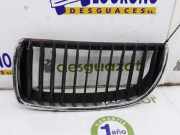 Grill Gitter Links 51137120007 BMW 3 serie (E90) Limousine 320d 16V (N47-D20A) 2007