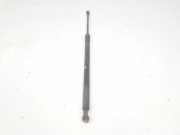 Gasdruckfedern Set Hinten 51248402405 BMW X5 (E53) SUV 3.0d 24V (M57N-D30(306D2)) 2005