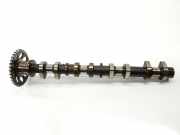 Nockenwelle 1350221021 Toyota Prius (NHW20) Liftback 1.5 16V (1NZ-FXE)