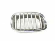 Grill 51137171396 BMW X6 (E71/E72) SUV xDrive40d 3.0 24V (N57-D30B) 2014