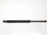 Gasdruckfedern Set Hinten 8254281 BMW 3 serie (E46/4) Limousine 320d 16V (M47-D20(204D1)) 1998