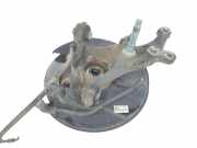 Achsschenkel Halter Rechts Hinten 4230442070 Toyota RAV4 (A5) Geländewagen 2.5 Hybrid 16V AWD (A25AFXS)