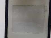 Schalter F?r Elekt. Fensterheber Links Hinten 98044803ZD Opel Corsa F (UB/UH/UP) Schr?gheck 5-drs 1.2 Turbo 12V 100 (F12XHL(EB2ADTD)) 2021