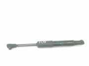 Gasdruckfeder Set Vorne 9830049680 DS DS 7 Crossback SUV 1.6 16V PureTech 180 (EP6FADTXD(5GF)) 2020 EP6FADTXD(5GF)
