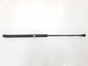 Gasdruckfeder Set Vorne 8L0823359 Audi A3 (8L1) Schrägheck 1.9 TDI Quattro (ASZ) 2001