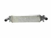 Ladeluftkühler A2465000900 Mercedes-Benz A (W176) Schrägheck 1.5 A-180 CDI, A-180d 16V (OM607.951(Euro 5) 2013