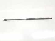 Gasdruckfedern Set Hinten 51812267 Fiat Bravo (198A) Schrägheck 1.9 JTD Multijet (192.A.8000) 2007